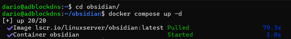 Terminal output showing the successful start of the Obsidian Docker container